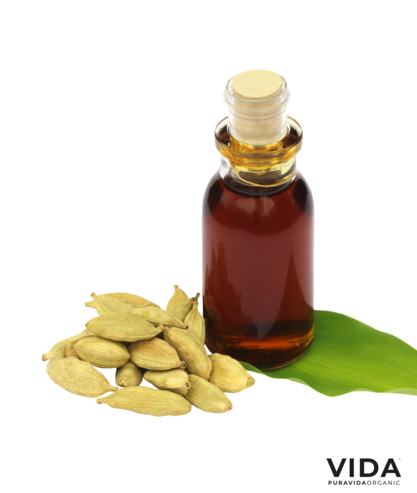 Cardamon Essential Oil