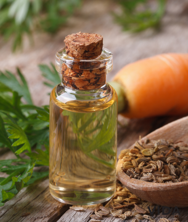 Carrot Seed Essential Oil