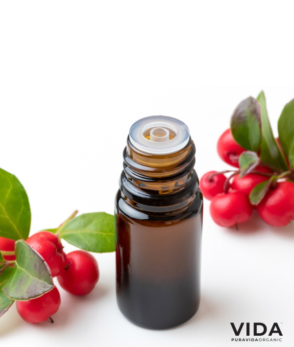 Wintergreen Essential Oil