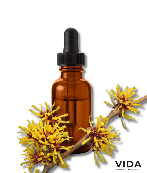 Witch Hazel Hydrosol (Organic)