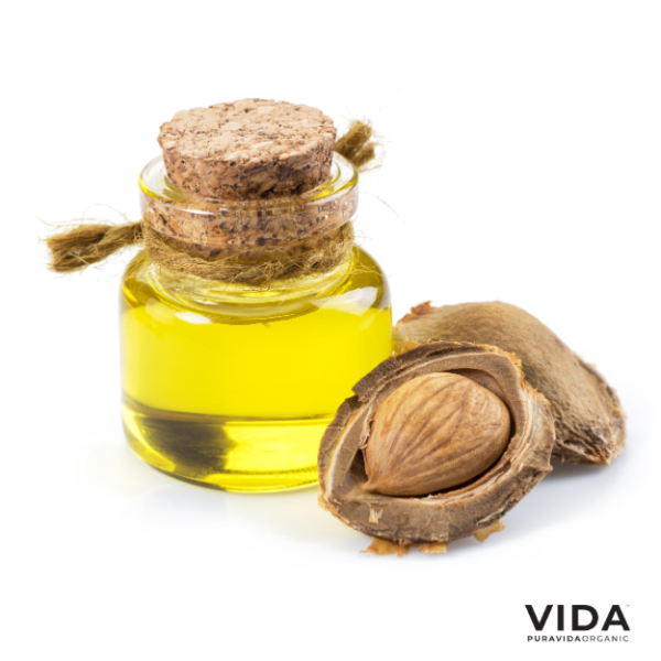 Organic Apricot Oil